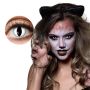 Cat Color Lenses