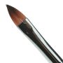 Paradise Makeup AQ 818 Petal Brush