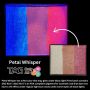 Tag Petal Whisper Rainbowcake 50gr