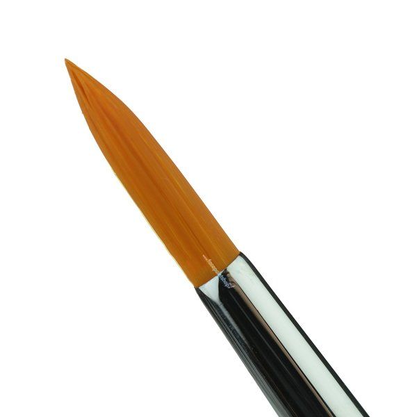 Paradise Makeup AQ 814 Medium Round Brush